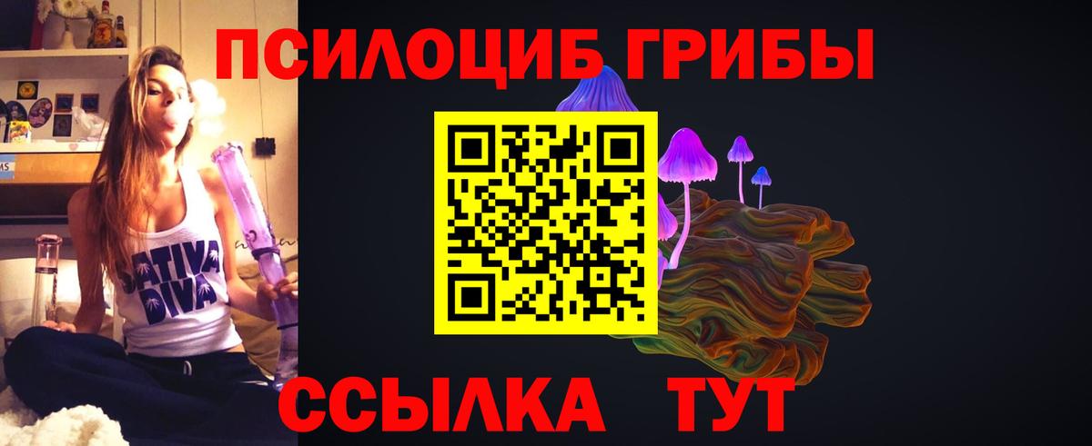 Псилоцибиновые грибы мухоморы  Псилоцибиновые грибы Cubensis  Вход с VPN  Краснознаменск 